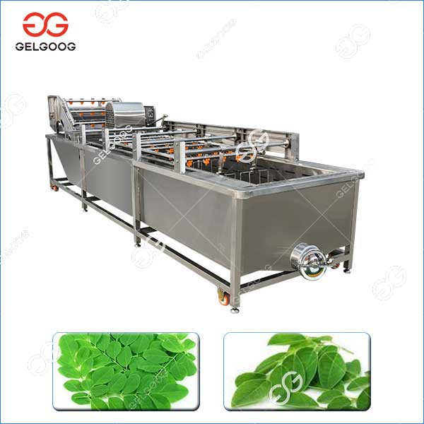 ماشین لباسشویی برگ مورینگا